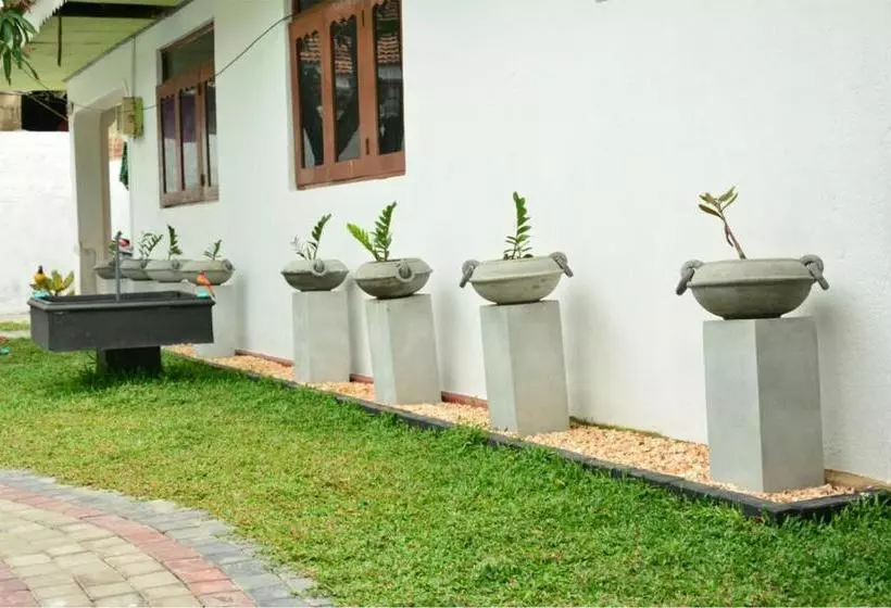 پانسیون Tropical Garden