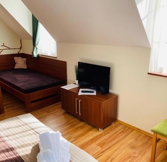 پانسیون Vila Mlynica