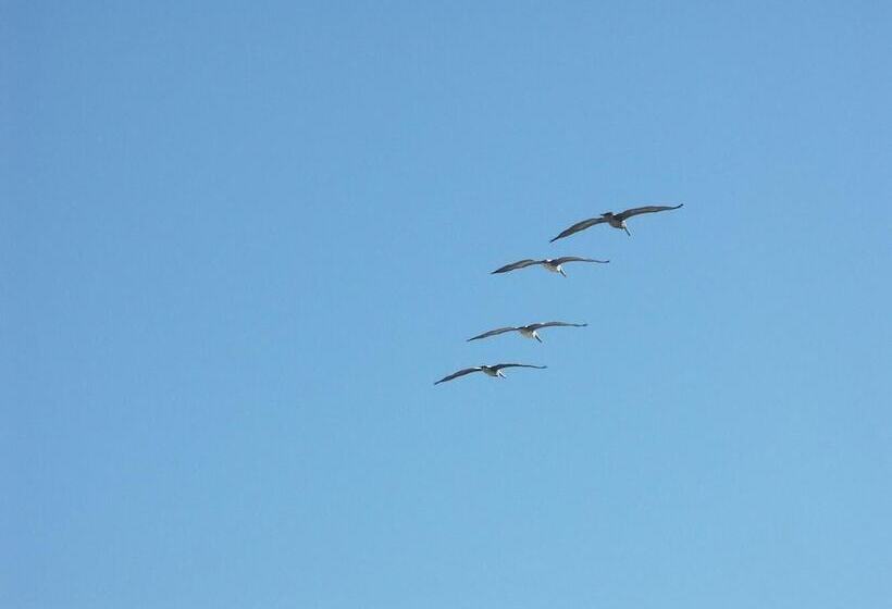 Flagler Beach Motel And Vacation Rentals