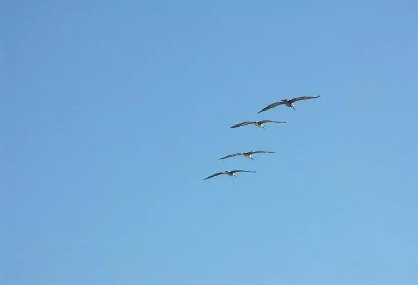 Flagler Beach Motel And Vacation Rentals