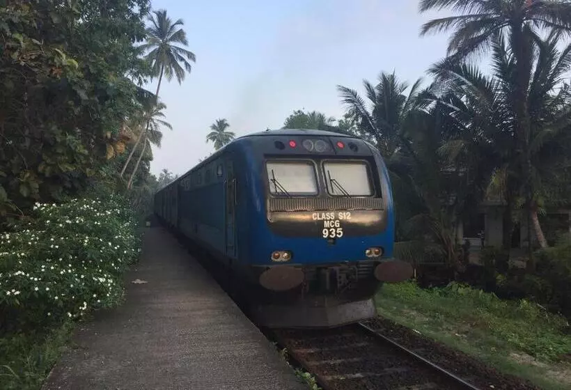 ペンション Apna Homestay Apartments