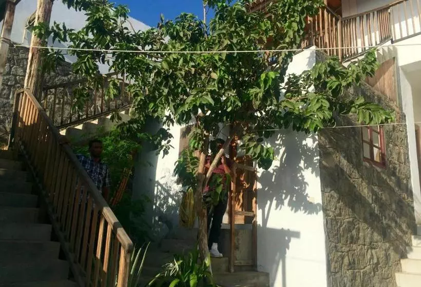 ペンション Casa Beiramar