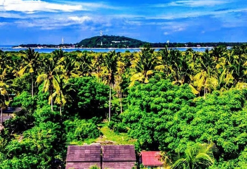 Pensjonat The This Kon Gili Meno