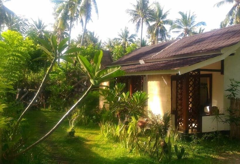 Pensjonat The This Kon Gili Meno