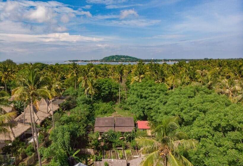 Pensjonat The This Kon Gili Meno