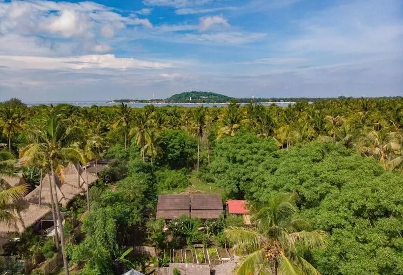 ペンション The This Kon Gili Meno