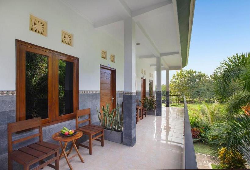 פנסיון Balilodgestay Murna's Guesthouse