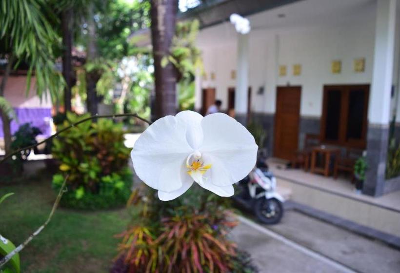 פנסיון Balilodgestay Murna's Guesthouse