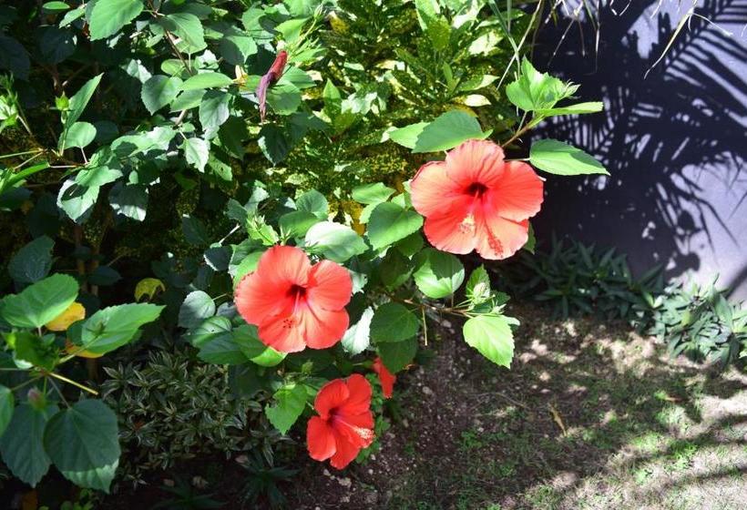 פנסיון Balilodgestay Murna's Guesthouse