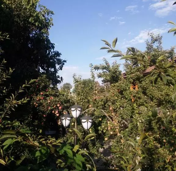 پانسیون Guest House Albatros