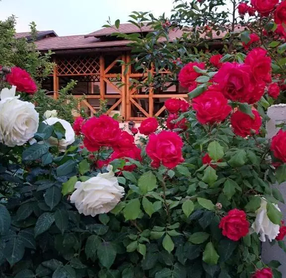 پانسیون Guest House Albatros