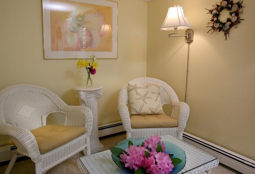 旅馆 Morning Glory Inn