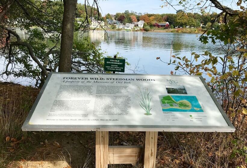 旅馆 Morning Glory Inn