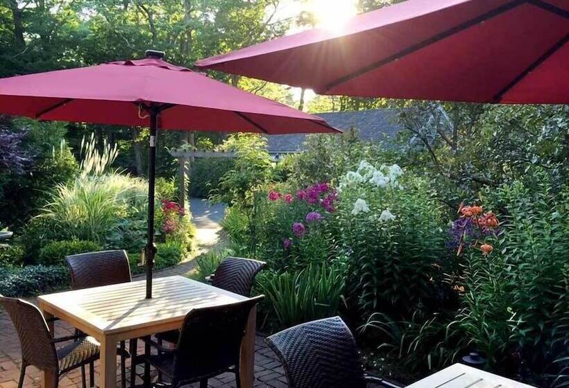 旅馆 Morning Glory Inn