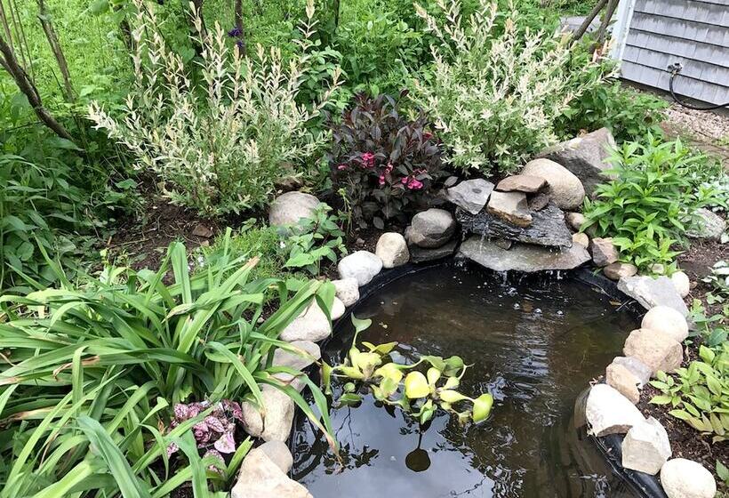 旅馆 Morning Glory Inn