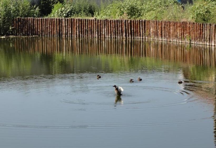 Пансион Villa Sosnovy Bor