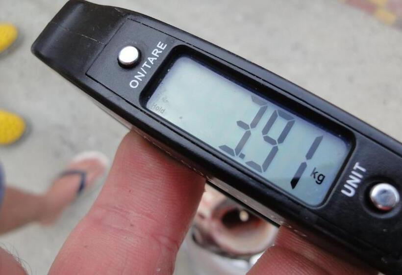 Пансион Villa Sosnovy Bor