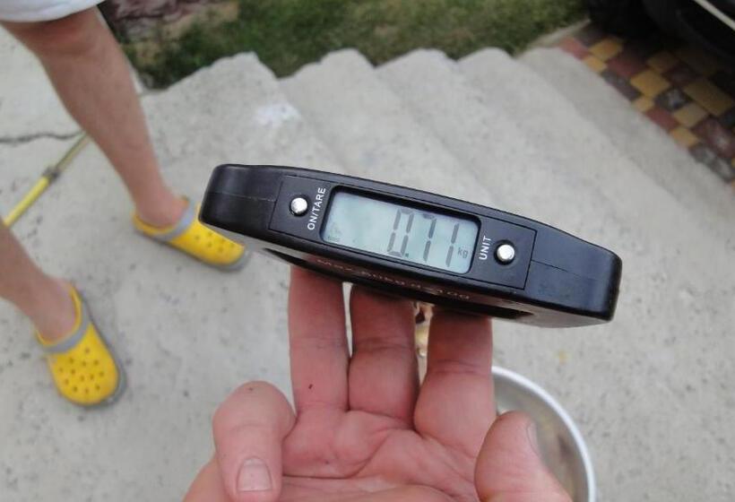 Пансион Villa Sosnovy Bor