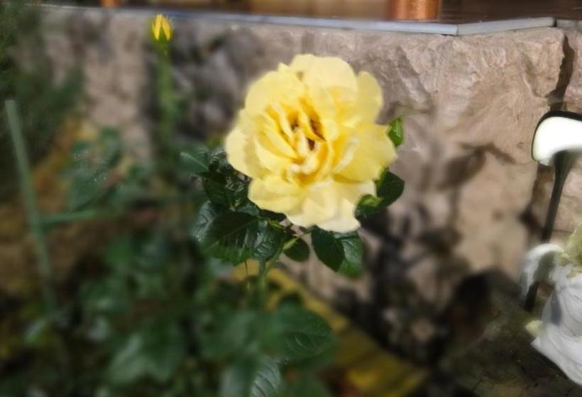 Пансион Villa Sosnovy Bor