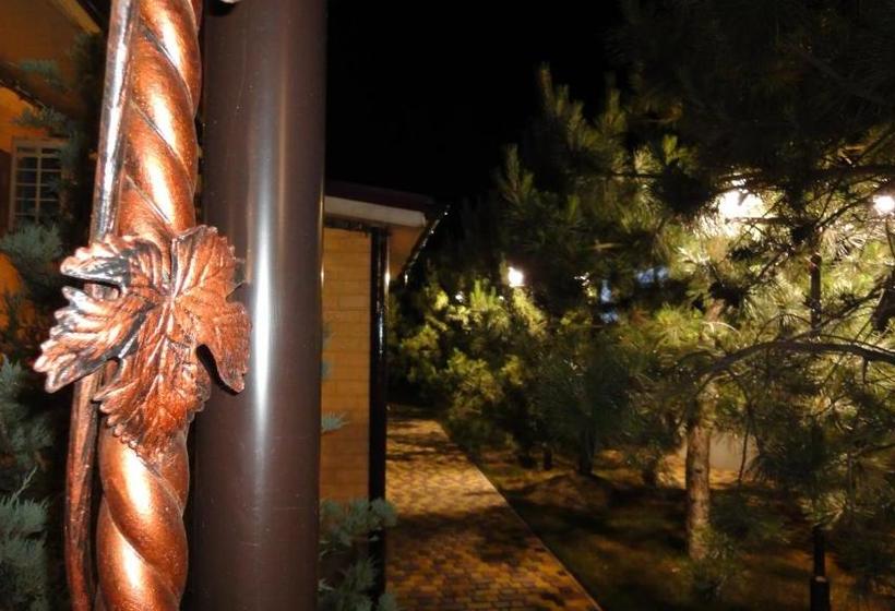 Пансион Villa Sosnovy Bor