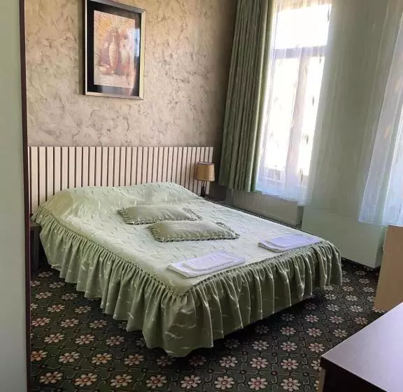 Pensiunea Nico Pardon