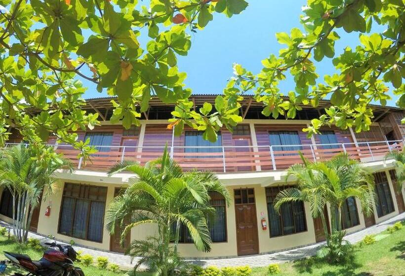 ユースホステル Amazon City