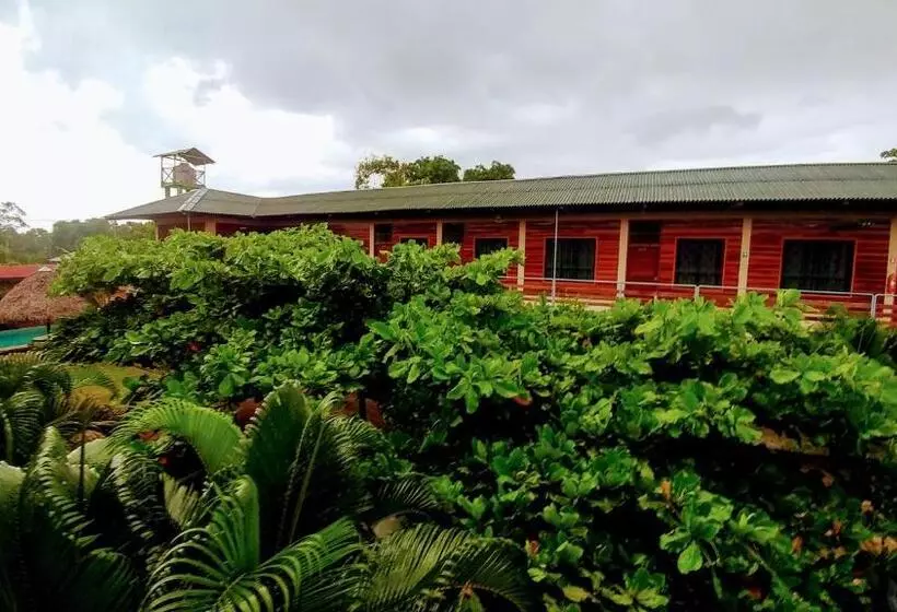 ユースホステル Amazon City