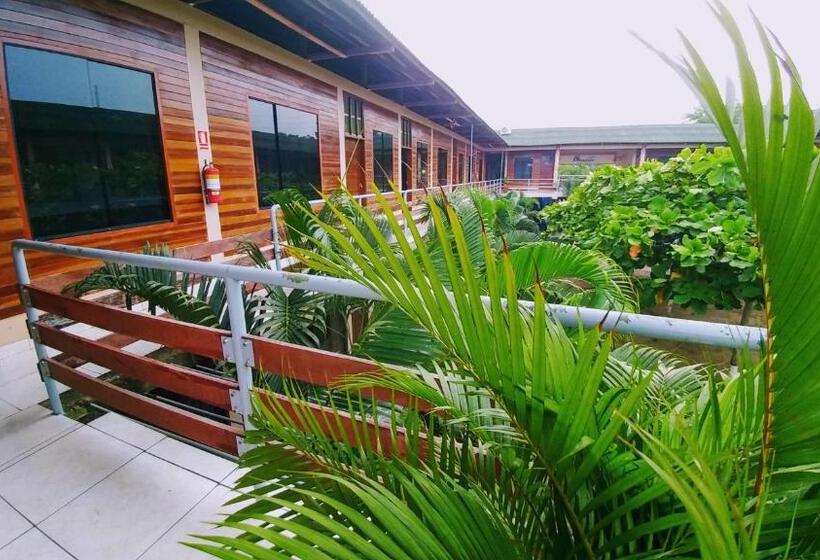 ユースホステル Amazon City