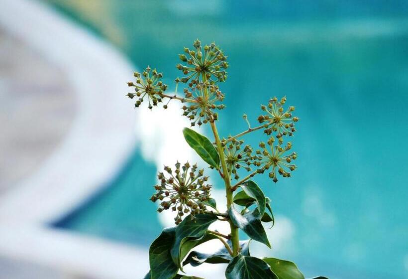 פנסיון Aberdour Guesthouse