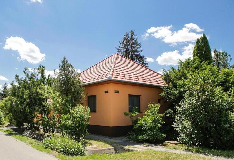 פנסיון Boróka Vendégház