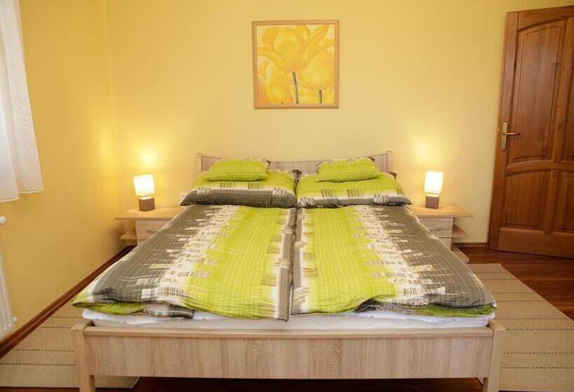 פנסיון Boróka Vendégház