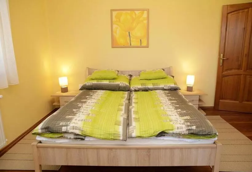 ペンション Boróka Vendégház