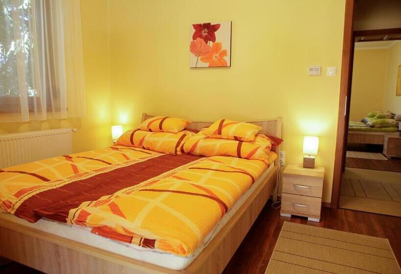 פנסיון Boróka Vendégház