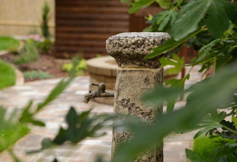 פנסיון Boróka Vendégház