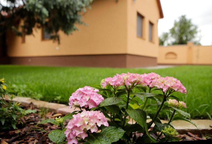 פנסיון Boróka Vendégház