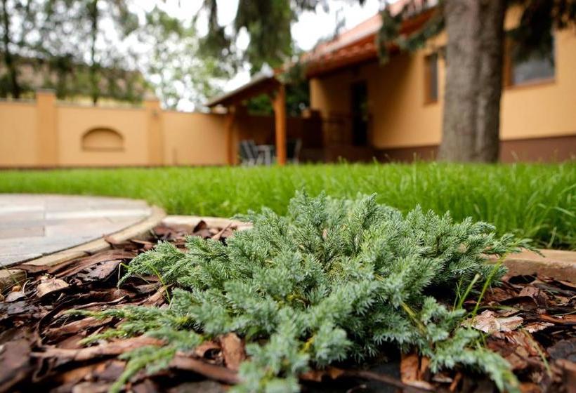 פנסיון Boróka Vendégház