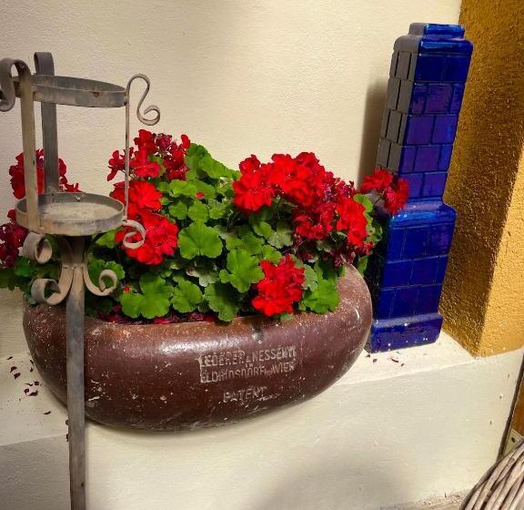 פנסיון Villa Luca