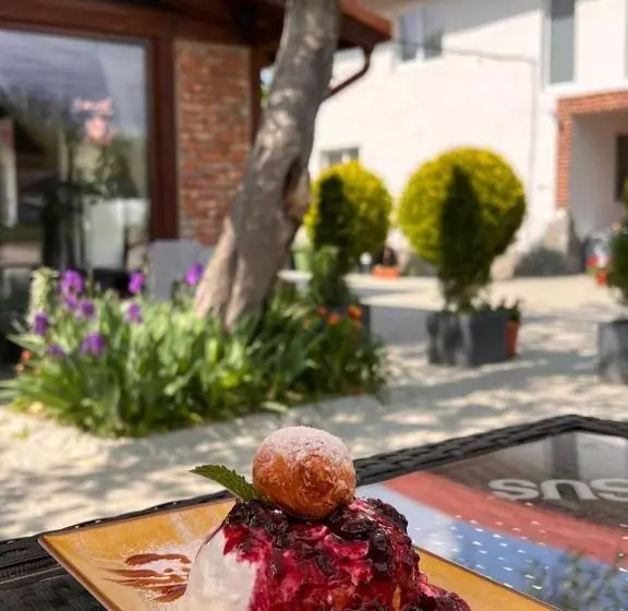 ペンション Casa Cenţiu