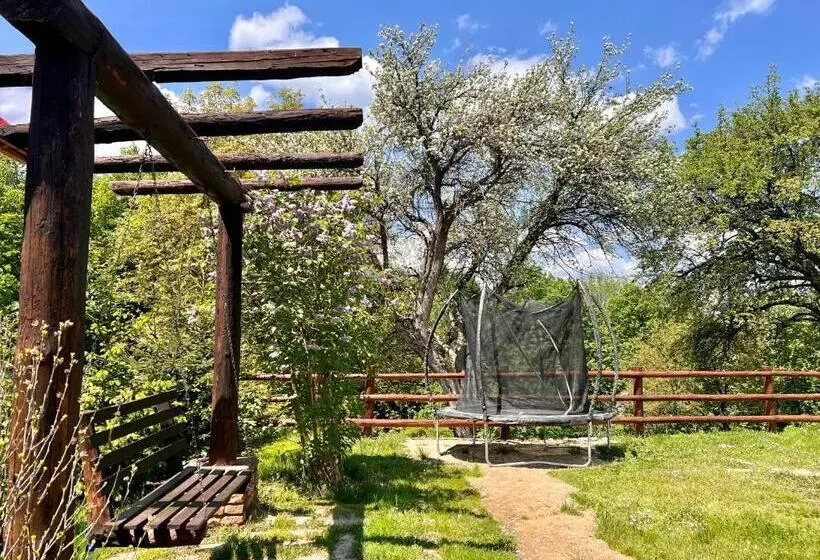 ペンション Casa Cenţiu