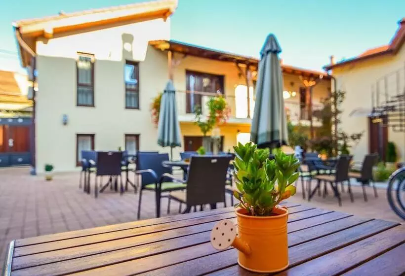 پانسیون Rosen Villa Sibiu