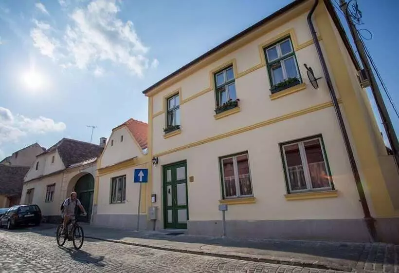 پانسیون Rosen Villa Sibiu