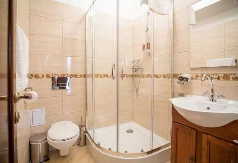 پانسیون Rosen Villa Sibiu