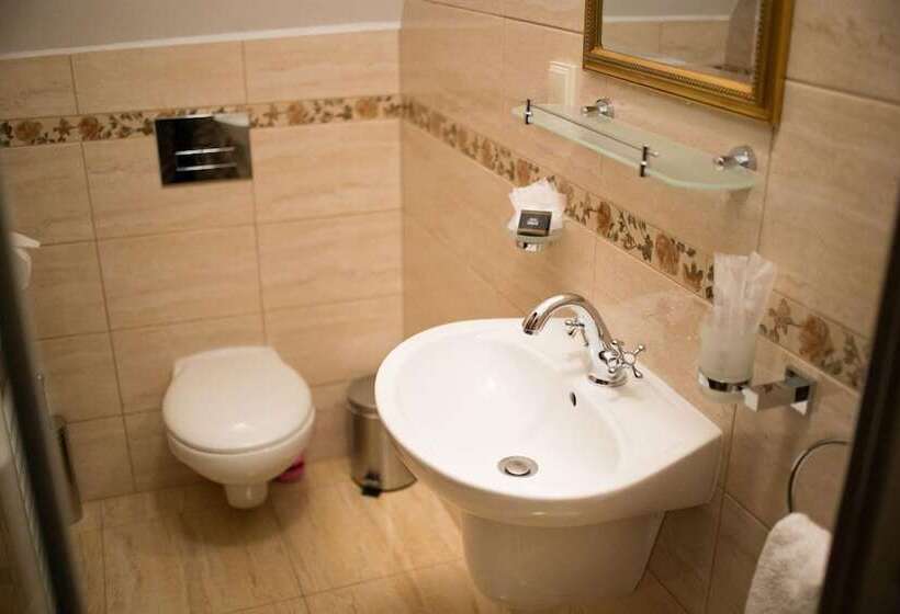 ペンション Rosen Villa Sibiu