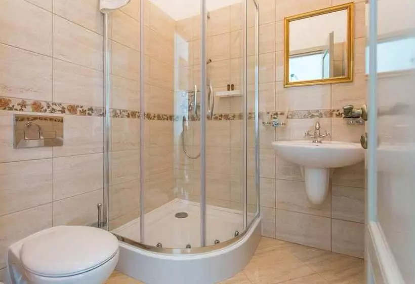 پانسیون Rosen Villa Sibiu