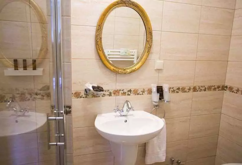 پانسیون Rosen Villa Sibiu