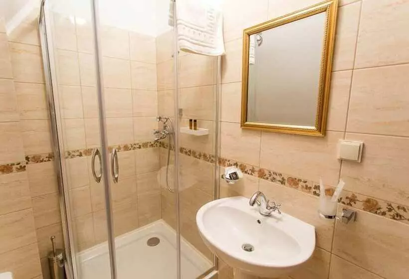 پانسیون Rosen Villa Sibiu