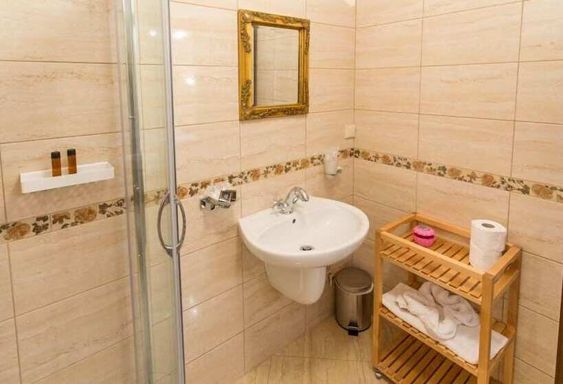 ペンション Rosen Villa Sibiu