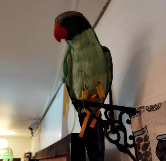 پانسیون Takamatsu Guest House Bj Station