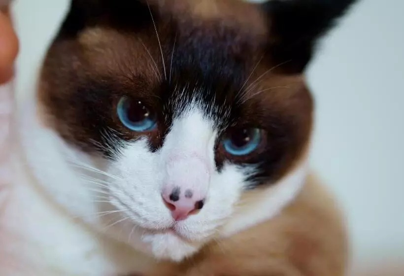 پانسیون Takamatsu Guest House Bj Station