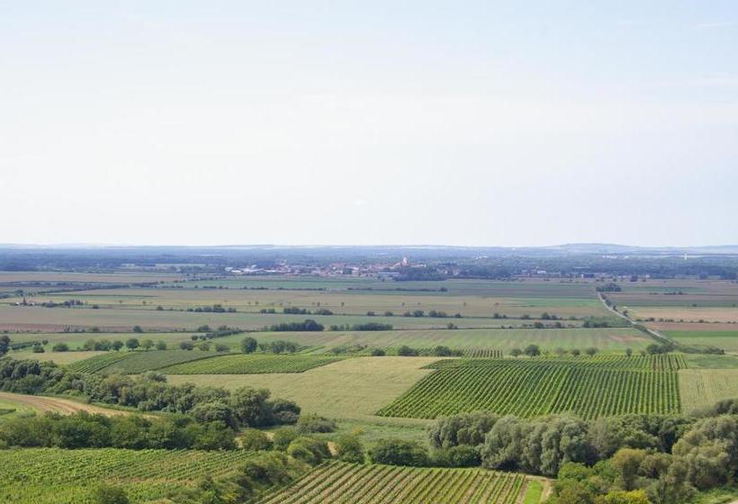 פנסיון Vinařský Penzion Přední Hora